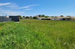 Terrain à Semussac 17120 548m2 74500 € - OLNA-26-05-19-15