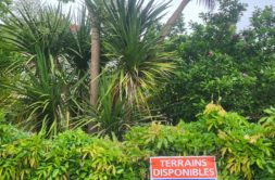 Terrain à Chateaubourg 35220 285m2 78000 € - EPLA-26-05-21-82