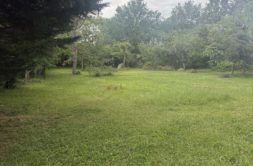 Terrain à Auzielle 31650 1200m2 207000 € - LOCA-26-06-02-1