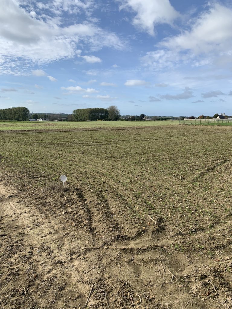 Terrain à Saint-Pol-de-Leon 29250 460m2 92500 € - RGOB-26-06-10-2