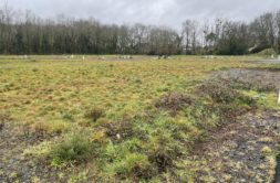 Terrain à Saint-Aignan-Grandlieu 44860 427m2 99500 € - QUCH-26-05-25-9