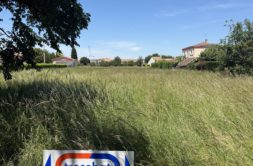 Terrain à Vernet 31810 220m2 60000 € - LOCA-26-05-28-16
