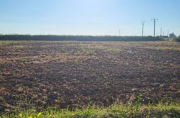Terrain à Plouenan 29420 440m2 51850 € - RGOB-26-07-28-14