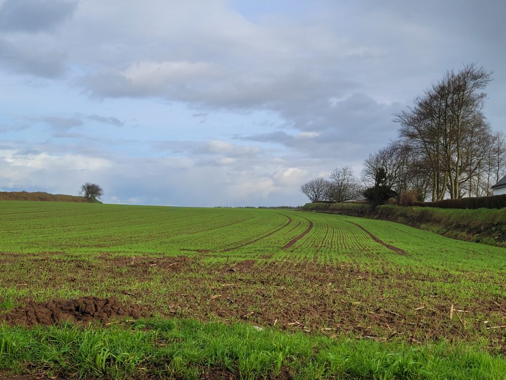 Terrain à Plouguerneau 29880 439m2 63000 € - ETRE-26-05-31-1