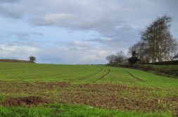 Terrain à Plouguerneau 29880 439m2 63000 € - ETRE-26-05-31-1