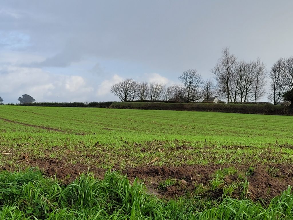 Terrain à Plouguerneau 29880 440m2 79000 € - ETRE-26-07-08-9