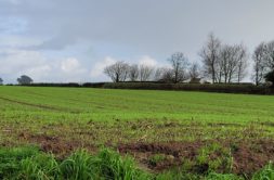 Terrain à Plouguerneau 29880 440m2 79000 € - ETRE-26-07-08-9