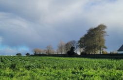 Terrain à Plouguerneau 29880 496m2 79000 € - ETRE-26-07-08-10