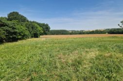 Terrain à Segoufielle 32600 639m2 105000 € - VIMA-26-07-06-3