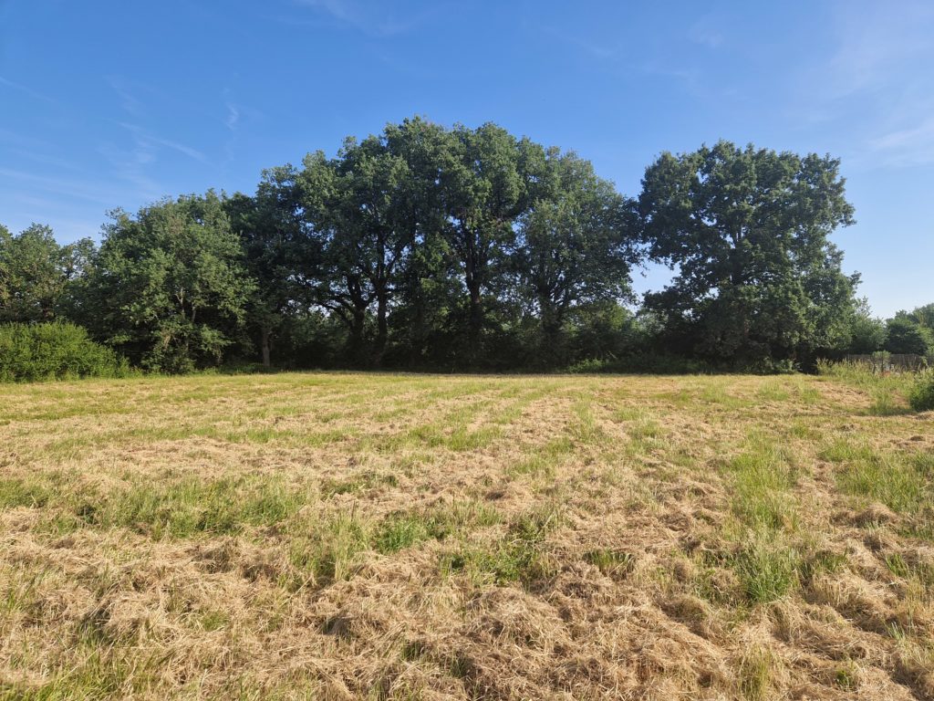 Terrain à Pujaudran 32600 1520m2 180000 € - VIMA-26-10-12-19