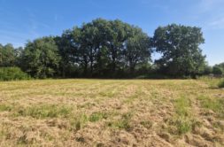 Terrain à Pujaudran 32600 1520m2 180000 € - VIMA-26-07-06-2