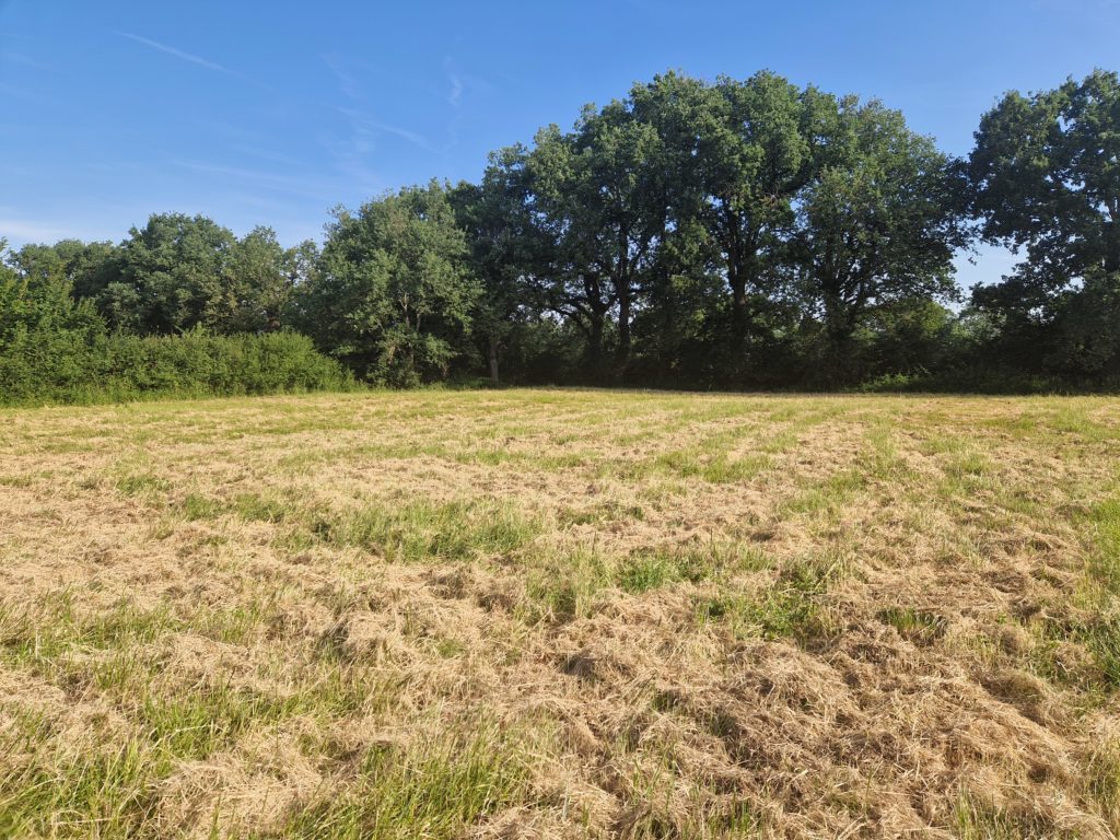 Terrain à Pujaudran 32600 1520m2 180000 € - VIMA-26-10-12-19