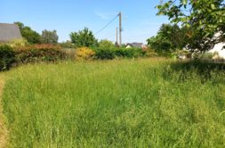 Terrain à Pleslin-Trigavou 22490 343m2 68900 € - GESC-26-06-23-21