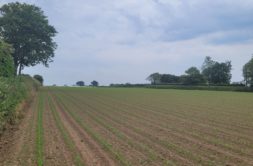 Terrain à Plouguerneau 29880 439m2 63000 € - ETRE-26-06-24-2