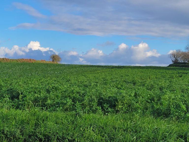Terrain à Plouguerneau 29880 475m2 82000 € - ETRE-26-07-21-16