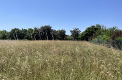 Terrain à Martres-Tolosane 31220 1090m2 40000 € - FRSC-26-07-03-4