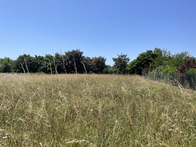 Terrain à Martres-Tolosane 31220 1090m2 40000 € - FRSC-26-07-03-4
