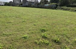 Terrain à Sainte-Seve 29600 555m2 66750 € - RGOB-26-06-24-1