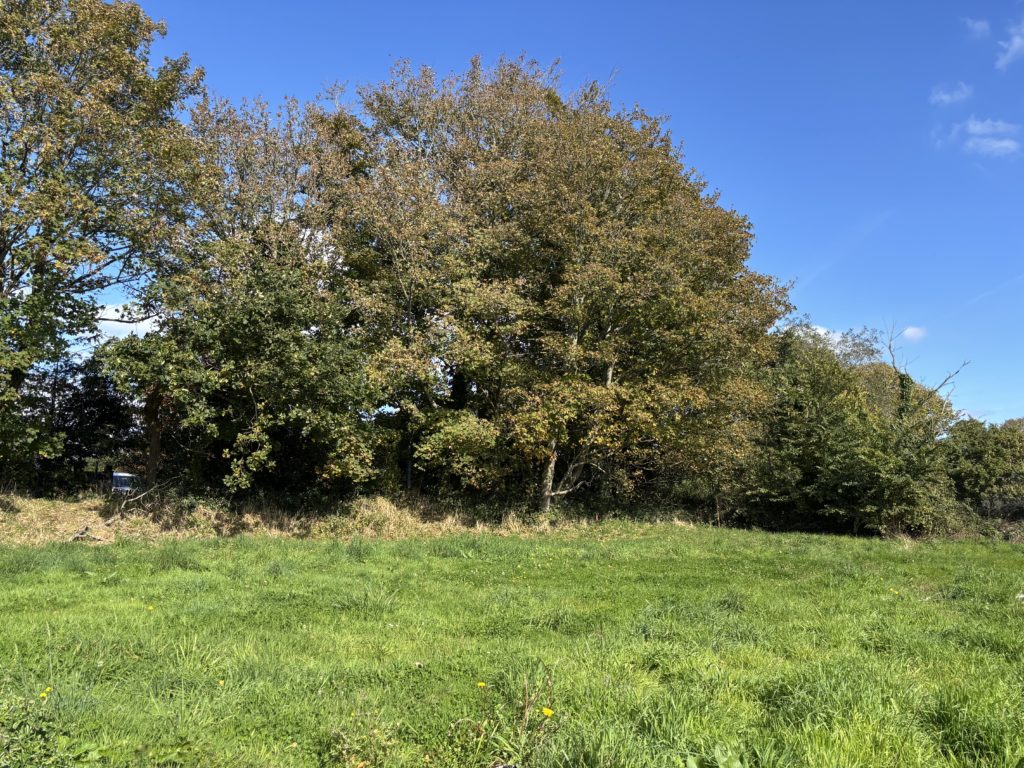 Terrain à La-Roche-Maurice 29800 1600m2 70000 € - JPD-26-09-17-27