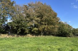 Terrain à La-Roche-Maurice 29800 1600m2 70000 € - JPD-26-09-17-27