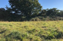 Terrain à La-Roche-Maurice 29800 489m2 50000 € - JPD-26-09-17-28