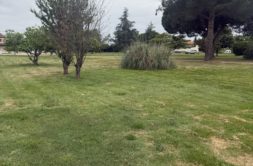 Terrain à Labarthe-sur-Leze 31860 844m2 125000 € - LOCA-26-07-13-11