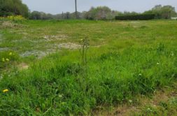 Terrain à Cancale 35260 415m2 185000 € - DAJE-26-06-23-2