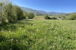 Terrain à Saleich 31260 1050m2 30000 € - FRSC-26-06-19-4