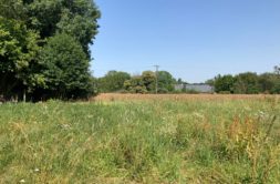 Terrain à Langrolay-sur-Rance 22490 392m2 94000 € - GESC-26-09-15-10
