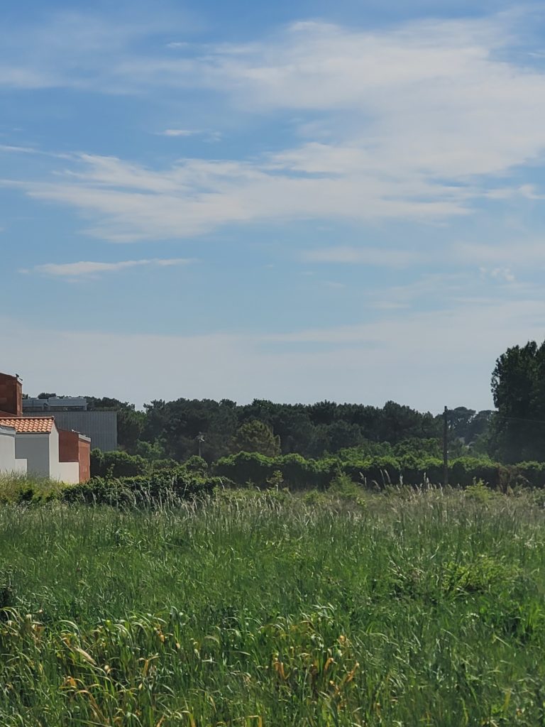 Terrain à Saint-Palais-sur-Mer 17420 485m2 240000 € - OLNA-26-06-29-7