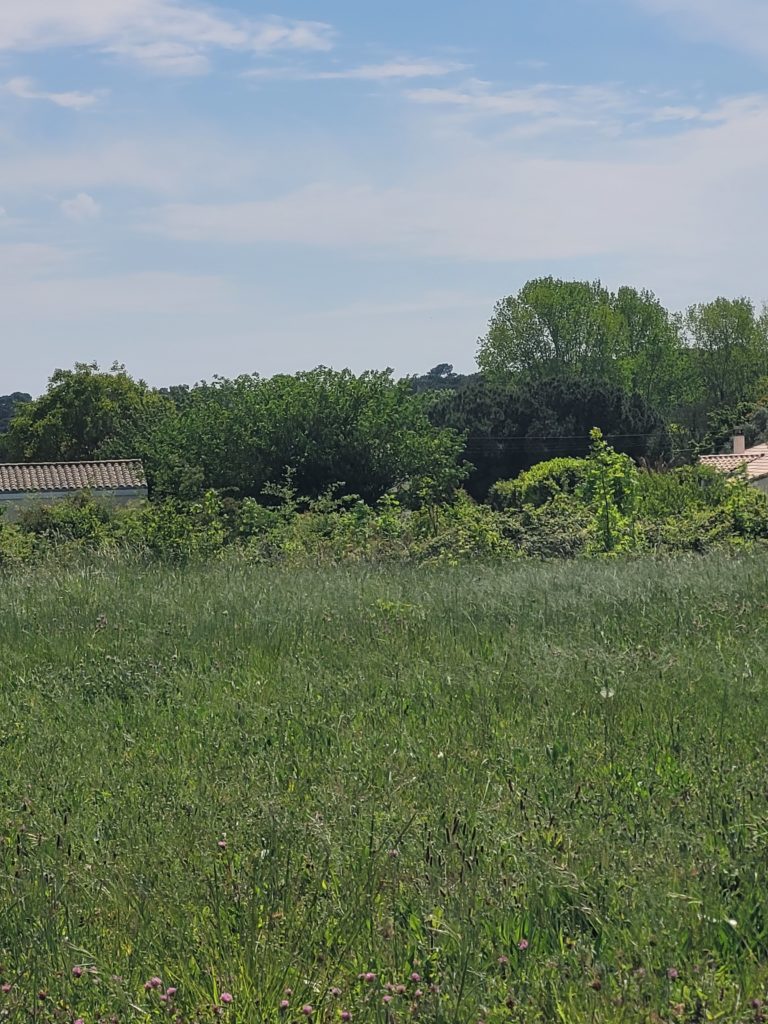 Terrain à Saint-Palais-sur-Mer 17420 485m2 240000 € - OLNA-26-06-29-7