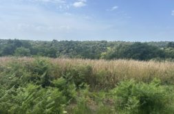 Terrain à Ergue-Gaberic 29500 535m2 55000 € - ATRIQ-26-07-03-3