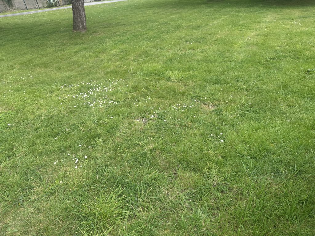 Terrain à Sainte-Helene 56700 401m2 108000 € - GMA-26-08-04-92