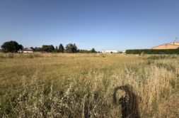 Terrain à Colomiers 31770 160m2 65000 € - CROP-26-08-31-1