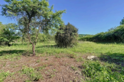 Terrain à Eoux 31420 2069m2 44000 € - FRSC-26-07-03-2