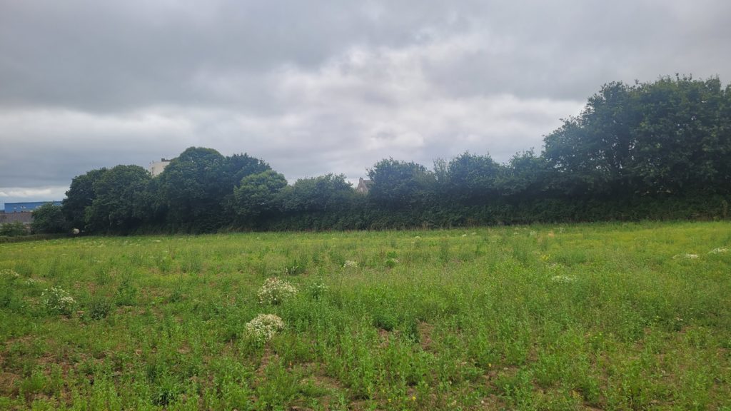 Terrain à Landivisiau 29400 358m2 58000 € - VVAN-26-07-07-30