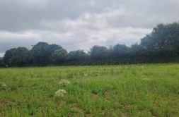 Terrain à Landivisiau 29400 538m2 84000 € - VVAN-26-07-30-7