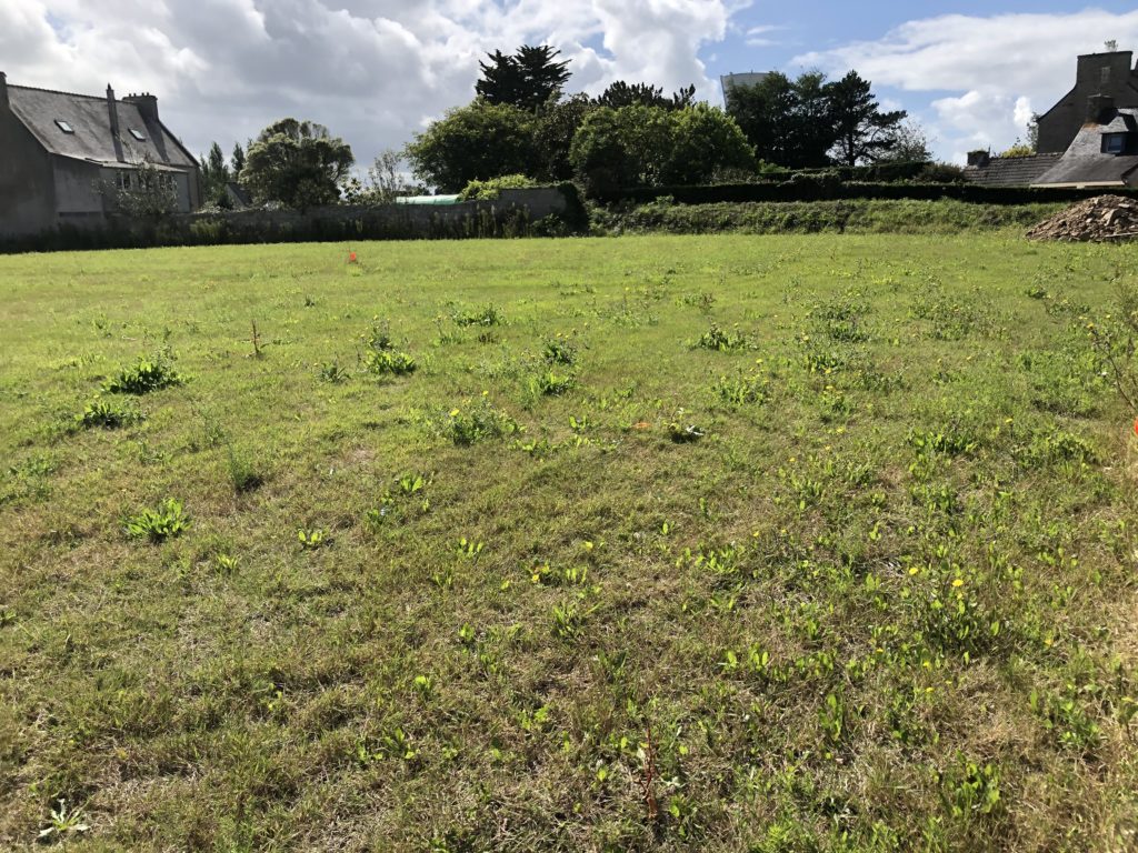 Terrain à Landivisiau 29400 400m2 63000 € - RGOB-26-07-07-1