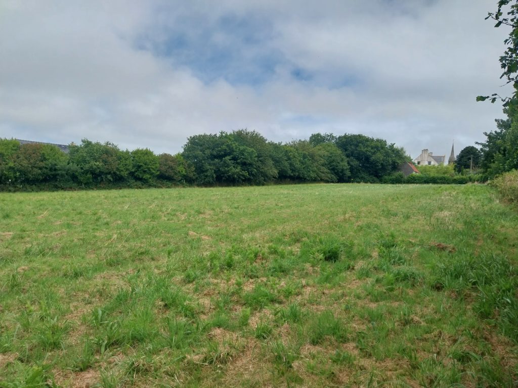 Terrain à Landivisiau 29400 600m2 89000 € - SME-26-07-06-5