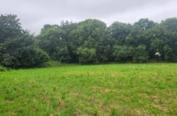 Terrain à Taule 29670 349m2 39786 € - VVAN-26-07-30-4