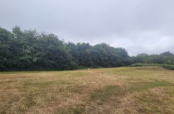 Terrain à Taule 29670 480m2 52320 € - VVAN-26-10-23-2