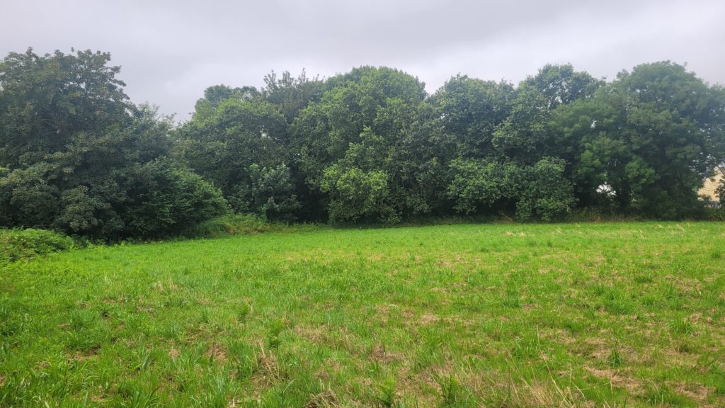 Terrain à Taule 29670 459m2 50031 € - VVAN-26-09-17-23