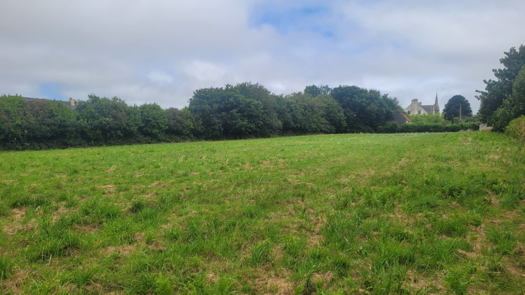 Terrain à Taule 29670 319m2 36366 € - VVAN-26-07-07-26