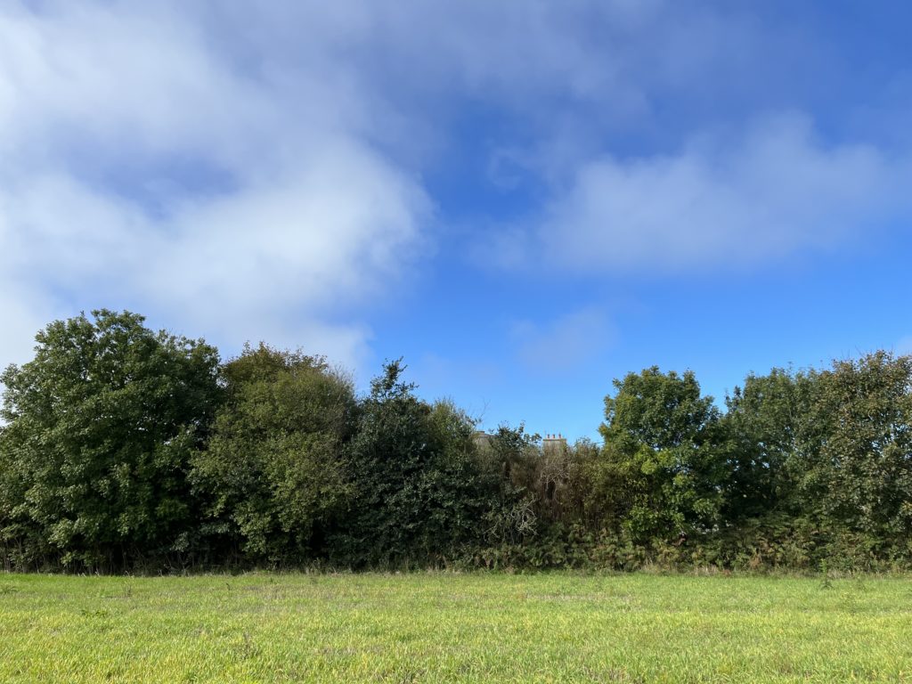 Terrain à Guipavas 29490 311m2 77500 € - JPD-26-09-18-1