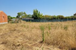 Terrain à VAUX-SUR-MER 17640 384m2 160000 € - OLNA-26-07-10-1