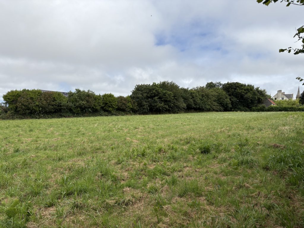 Terrain à Taule 29670 428m2 46652 € - DM-26-09-16-54