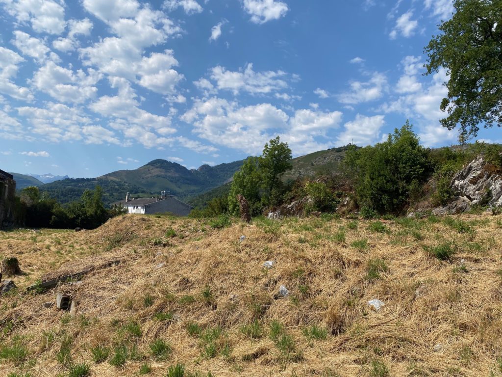Terrain à LOURDES 65100 3593m2 100000 € - PHPA-26-09-14-5