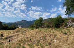 Terrain à LOURDES 65100 3593m2 100000 € - PHPA-26-08-31-45