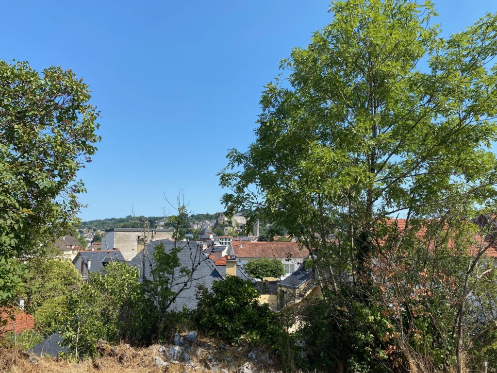 Terrain à LOURDES 65100 3593m2 100000 € - PHPA-26-09-14-5