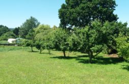Terrain à Pleneuf-Val-Andre 22370 1340m2 419000 € - ASCO-26-07-23-5